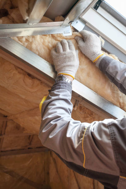Insulation for Commercial Buildings in Sheldon, IL