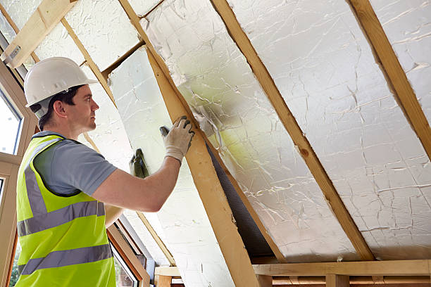 Best Blown-in Insulation  in Sheldon, IL