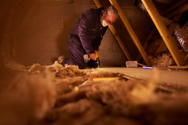 Best Insulation Inspection Services  in Sheldon, IL